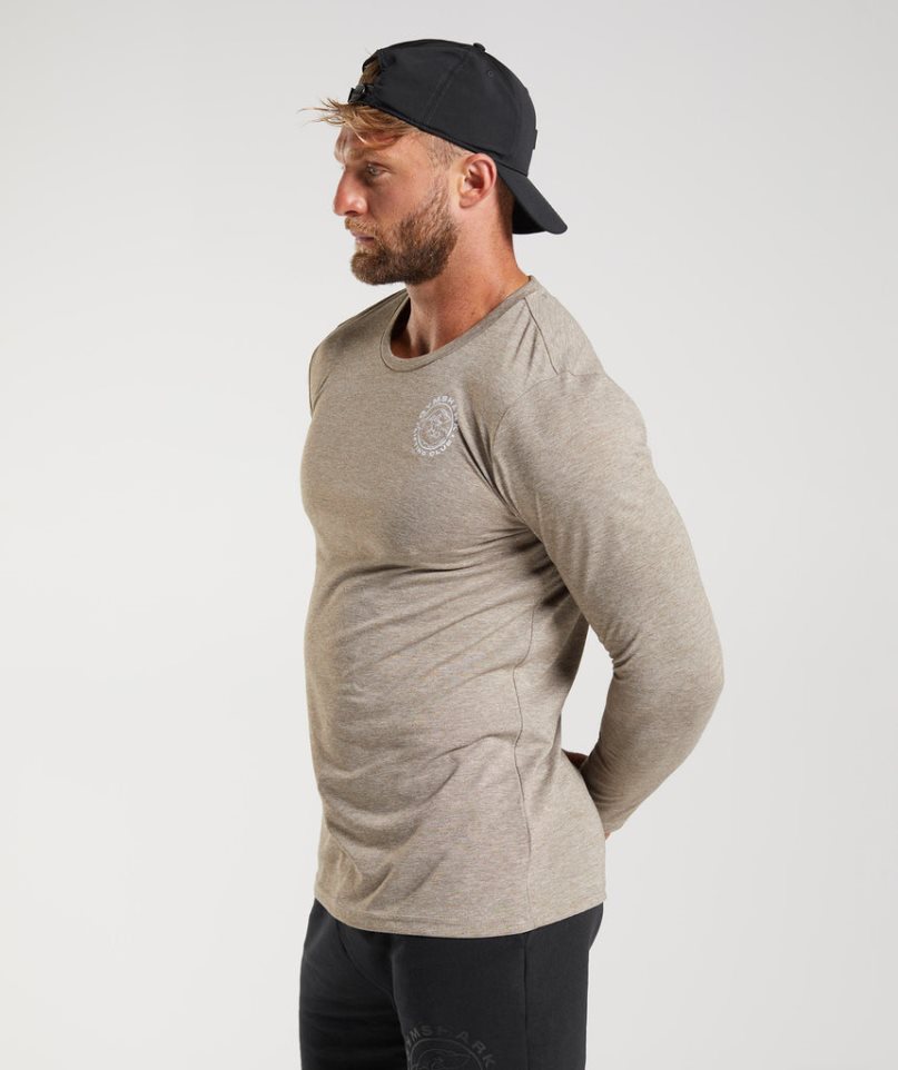 Koszulki Gymshark Legacy Long Sleeve Męskie Szare | PL 793HLS